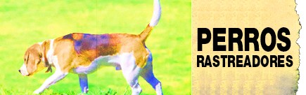 La Tienda del Espia promo