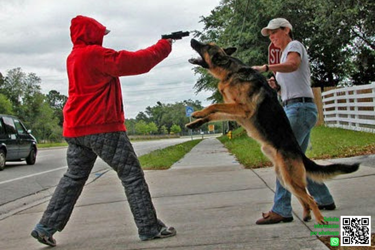 ADIESTRADOR DE PERROS