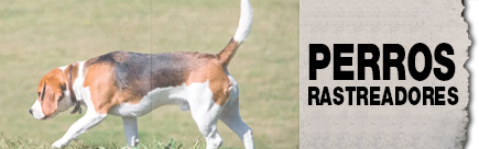 La Tienda del Espia promo