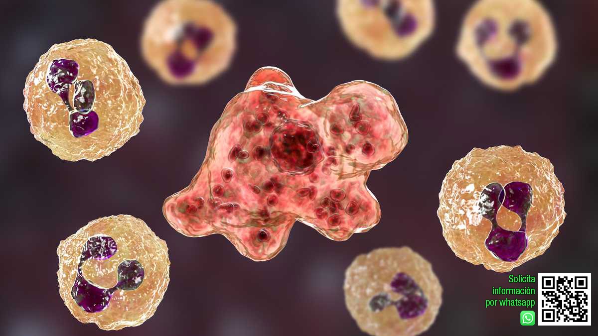 TEST, ANÁLISIS Y ANALÍTICAS, TEST ADN